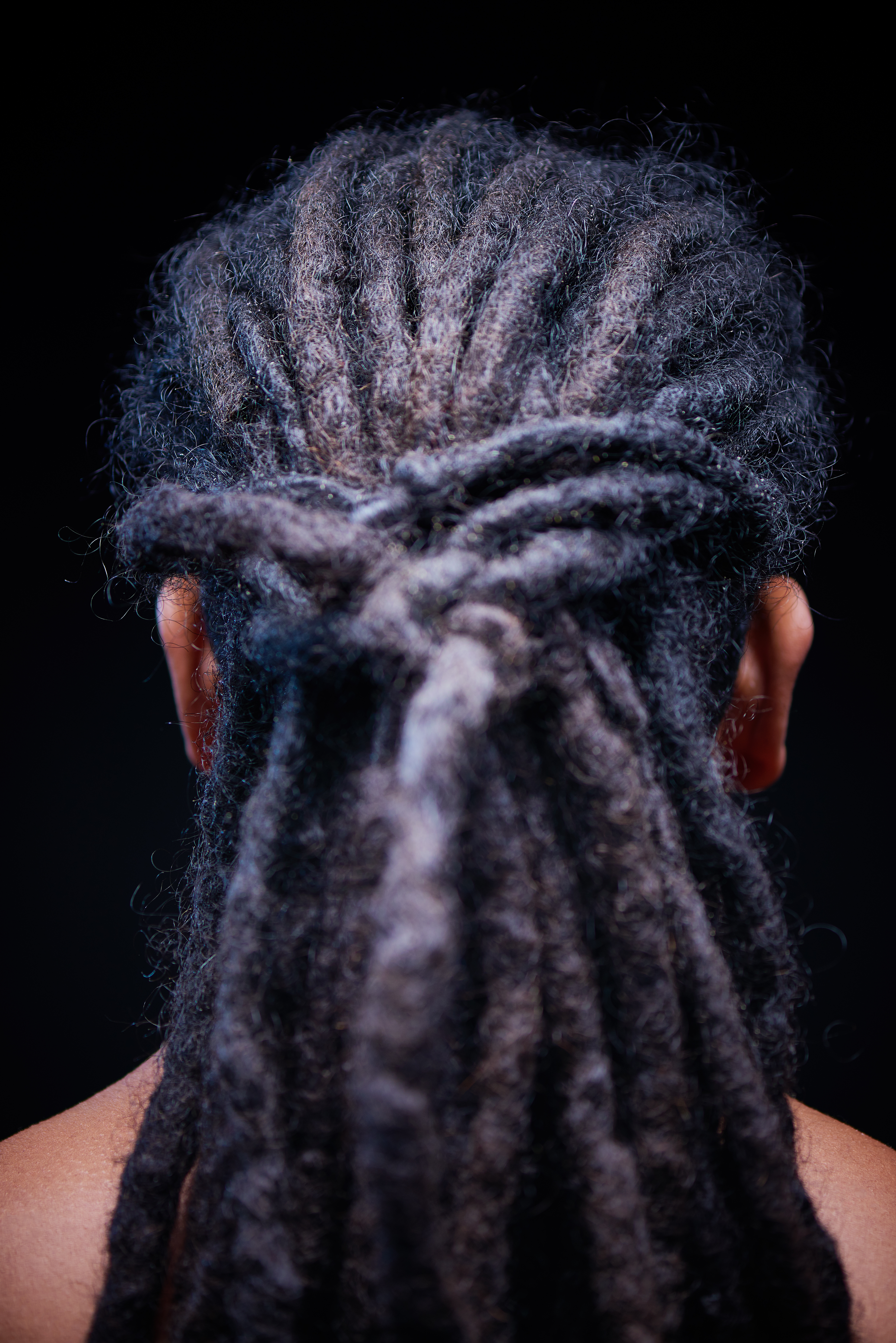 Rear view of a male with dreadlocks.